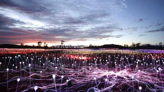 Red Centre Highlights Tour - NT Now Red Centre Highlights Tour - NT Now