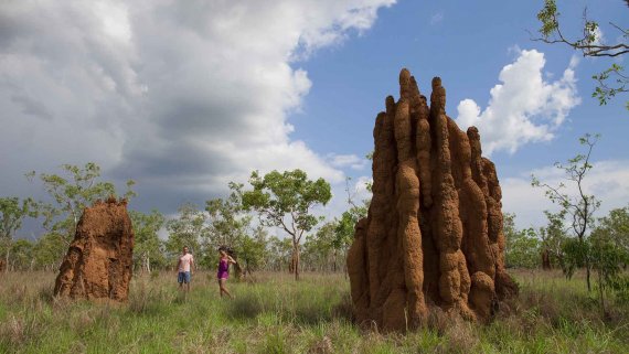 Best of Top End Self-Drive - NT Now Best of Top End Self-Drive - NT Now