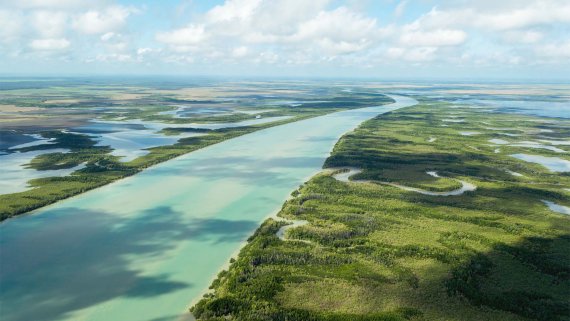 Back to Tiwi Island - NT Now Back to Tiwi Island - NT Now
