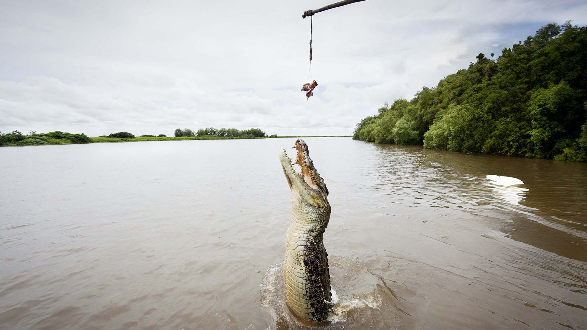 Crocs & Chill Darwin Getaway - NT Now