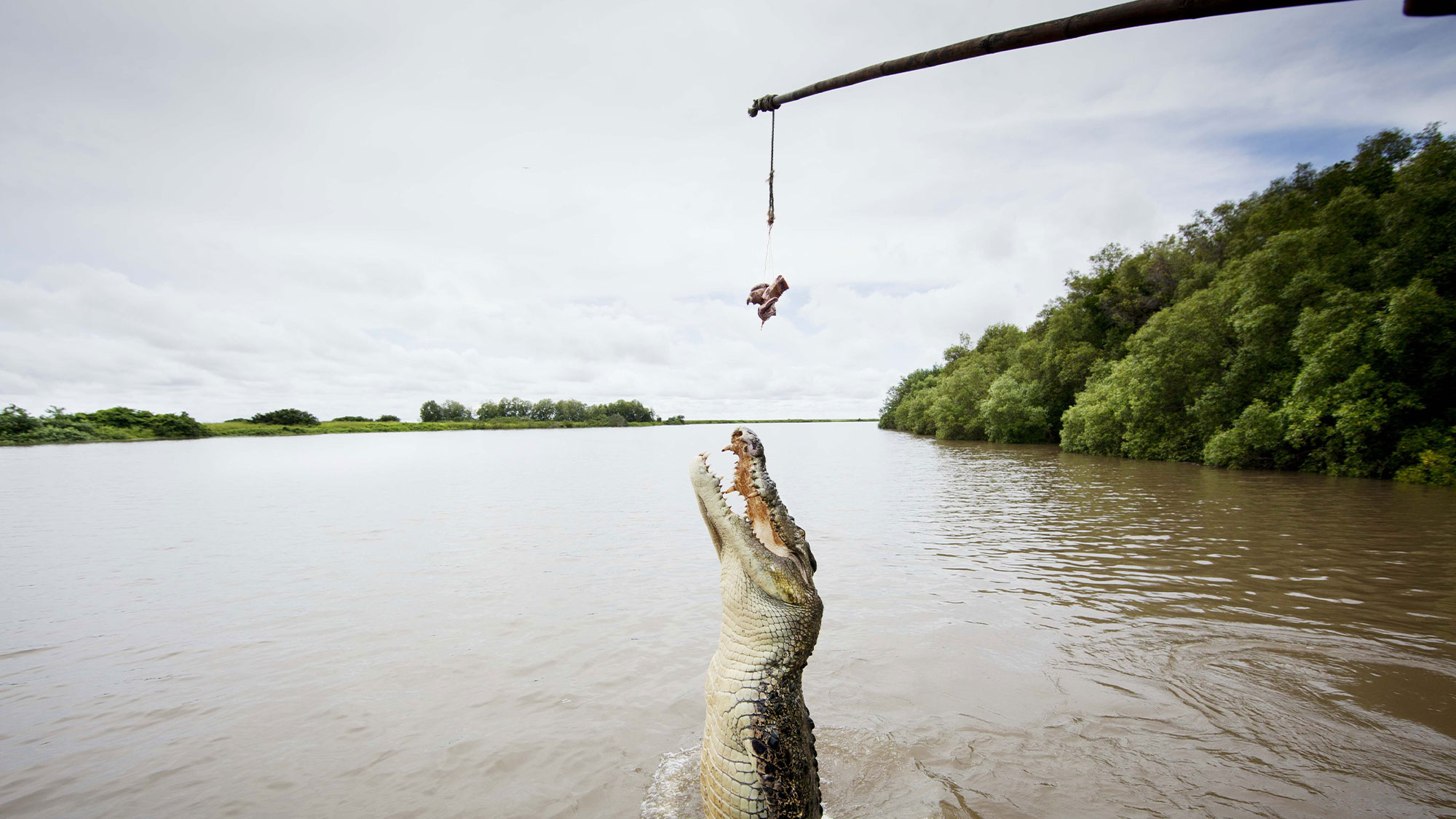 Crocs & Chill Darwin Getaway - NT Now