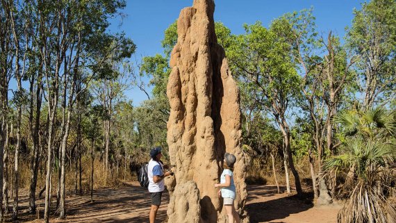 Darwin, Litchfield and Kakadu Escape - NT Now Darwin, Litchfield and Kakadu Escape - NT Now