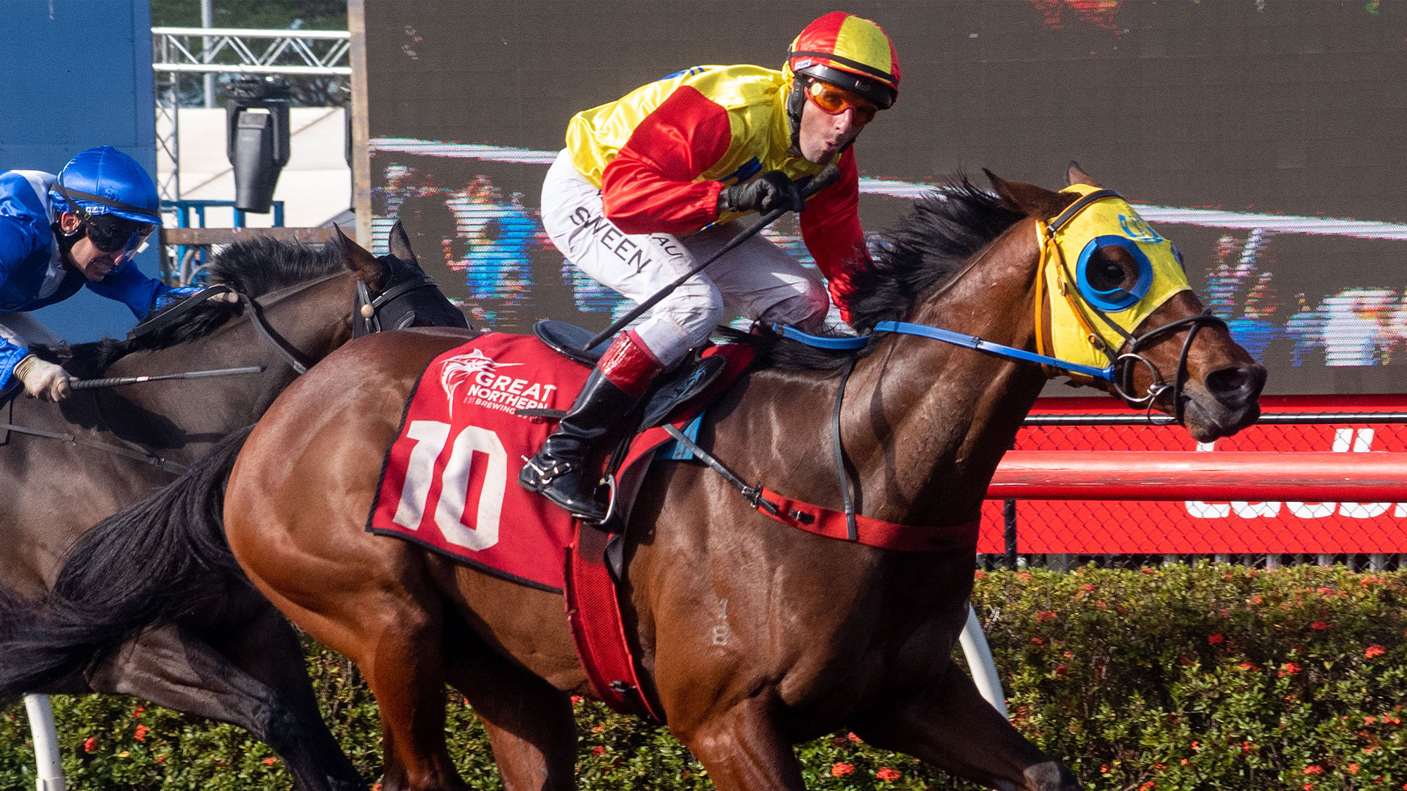 Darwin Cup Escape - NT Now