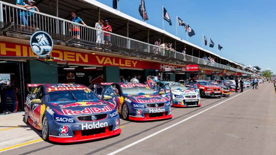 Darwin V8 Rush - NT Now