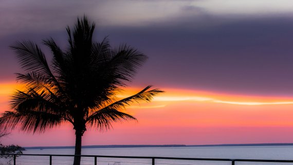 Dolphins vs Panthers NRL Short Stay - NT Now