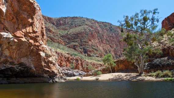 Kings Creek Station Outback Escape - NT Now