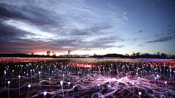 Field of Light & Uluru Sunrise - NT Now Field of Light & Uluru Sunrise - NT Now
