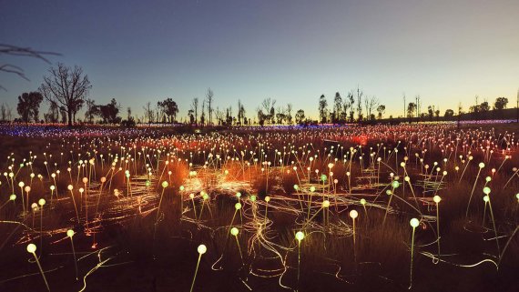 Field of Light & Uluru Short Stay Self Drive - NT Now Field of Light & Uluru Short Stay Self Drive - NT Now