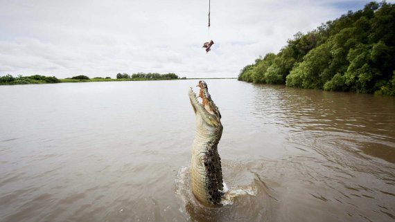 The Ghan & Darwin Short Stay - NT Now The Ghan & Darwin Short Stay - NT Now