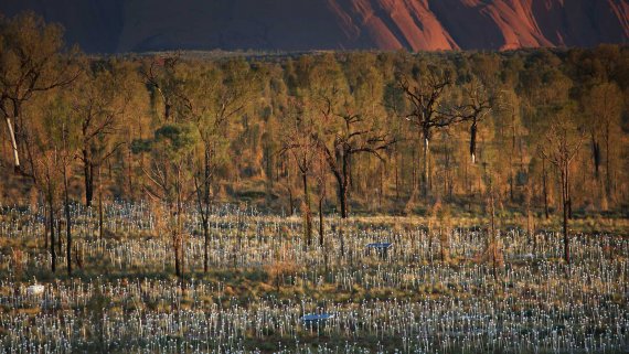 Uluru Essential Escape - NT Now Uluru Essential Escape - NT Now
