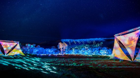Light Trails of the Red Centre with Parrtjima - NT Now