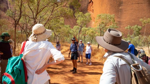 Red Sands and Starry Skies - NT Now