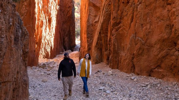 West MacDonnell Ranges Wildlife and Nature Explorer - NT Now