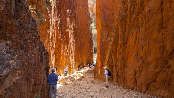 Uluru Aboriginal Art & Cultural Experience Discovery - NT Now Uluru Aboriginal Art & Cultural Experience Discovery - NT Now