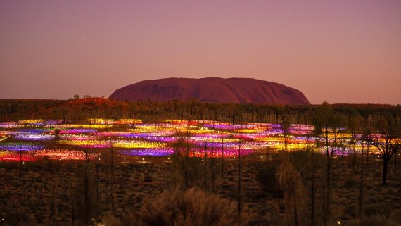 Outback Odyssey Private Hosted Small Group Tour Including the Legendary Ghan - NT Now