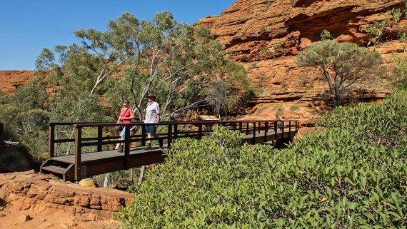 Red Centre Dreaming Small Group Tour - NT Now