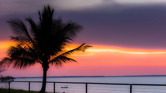 Top End Litchfield & Markets Adventure - NT Now