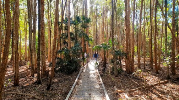 Top End Natural Highlights Eco Adventure - NT Now Top End Natural Highlights Eco Adventure - NT Now