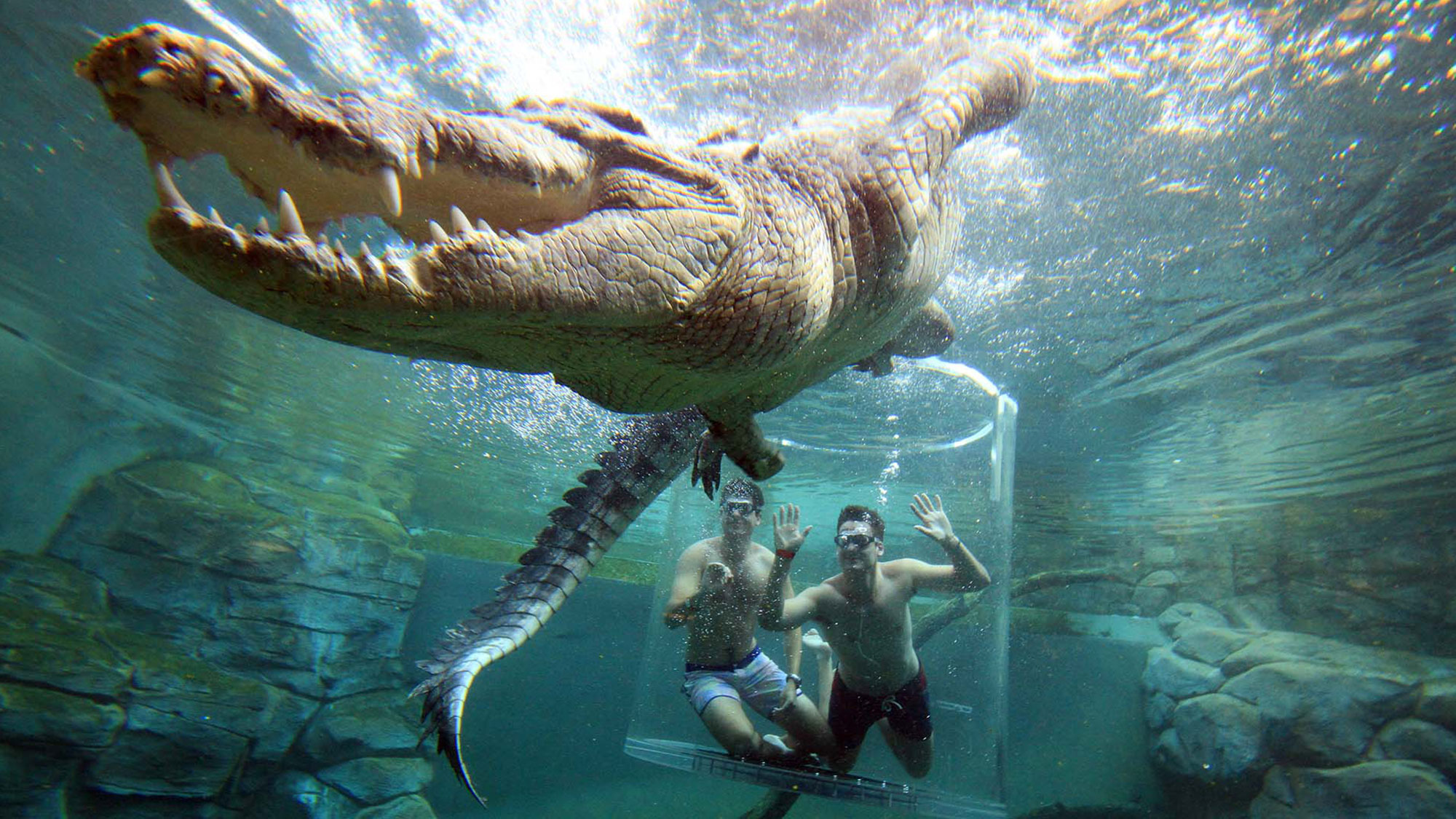 Ultimate Darwin Escape - NT Now Ultimate Darwin Escape - NT Now