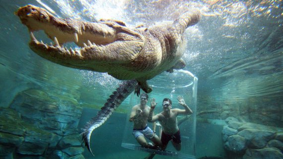 Ultimate Darwin Escape - NT Now