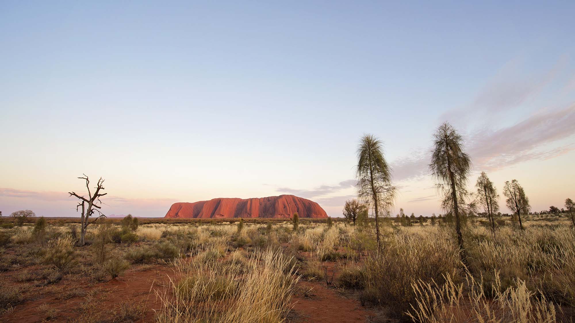 Uluru & Kings Canyon Self Drive