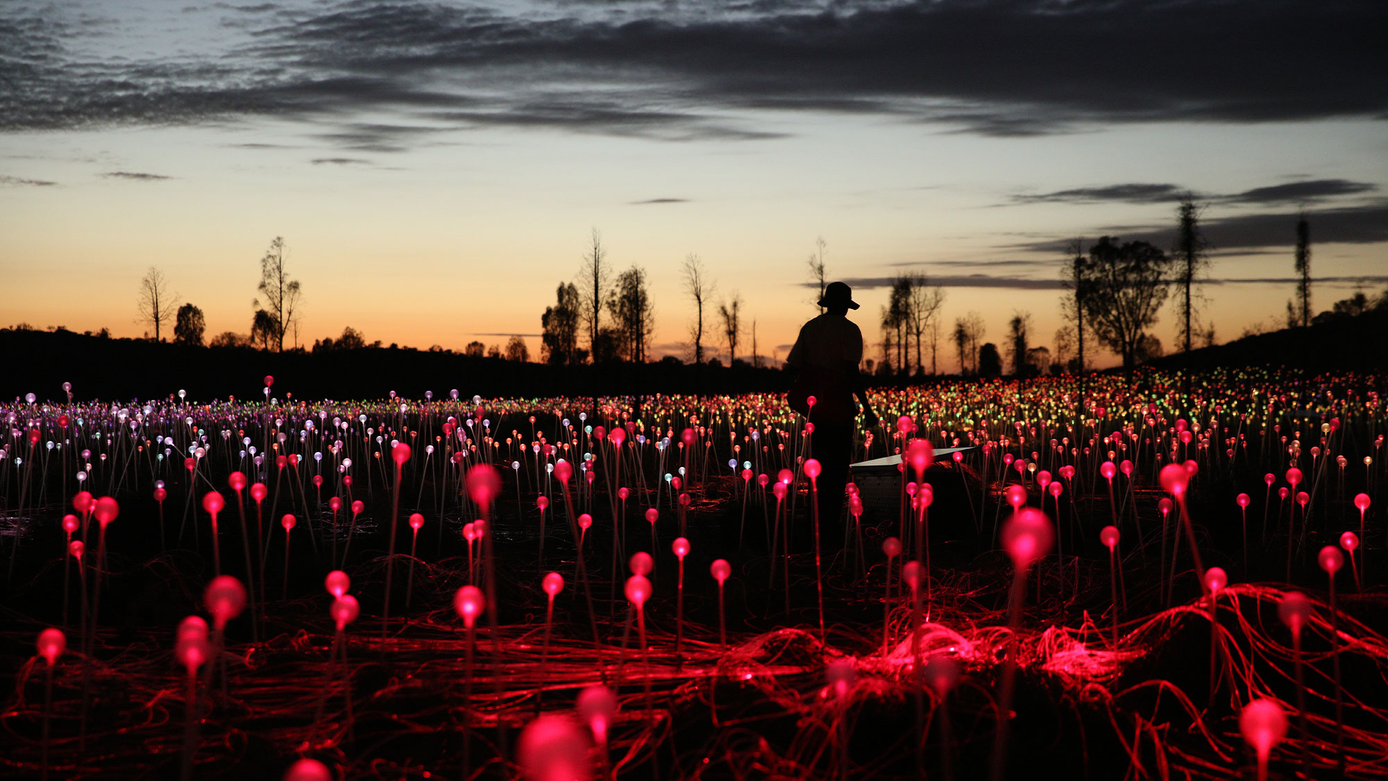 Uluru Desert Lights - NT Now