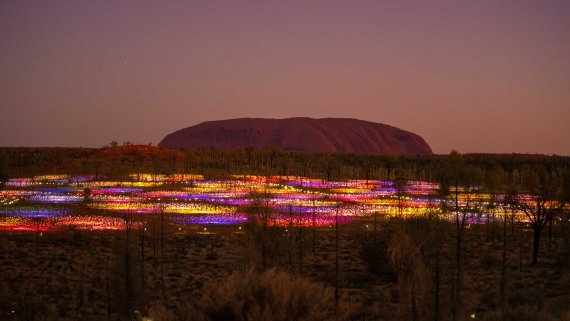 Uluru Desert Lights - NT Now Uluru Desert Lights - NT Now