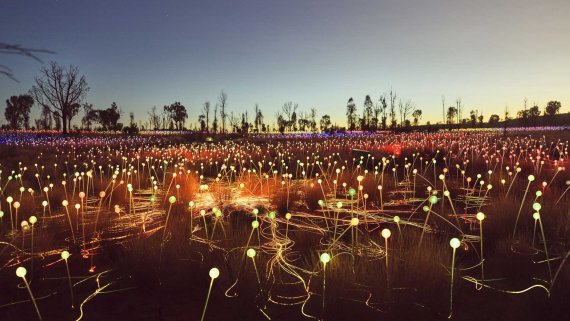 Uluru Desert Lights - NT Now Uluru Desert Lights - NT Now