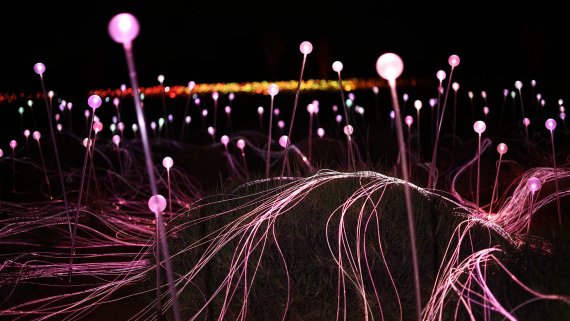 Uluru Short Stay at Ayers Rock Resort - NT Now Uluru Short Stay at Ayers Rock Resort - NT Now