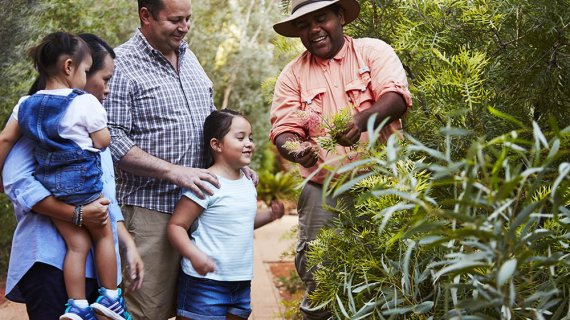 Uluru Short Stay at Ayers Rock Resort - NT Now Uluru Short Stay at Ayers Rock Resort - NT Now