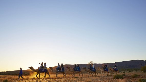 Uluru Short Stay at Sails in the Desert - NT Now Uluru Short Stay at Sails in the Desert - NT Now