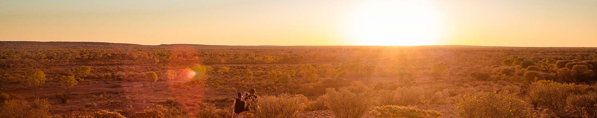 The Ultimate Kings Canyon Guide for Nature Lovers and Adventurers